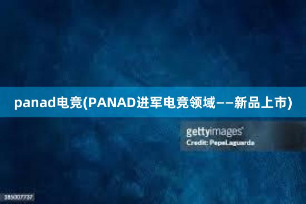 panad电竞(PANAD进军电竞领域——新品上市)