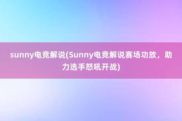 sunny电竞解说(Sunny电竞解说赛场功放，助力选手怒吼开战)