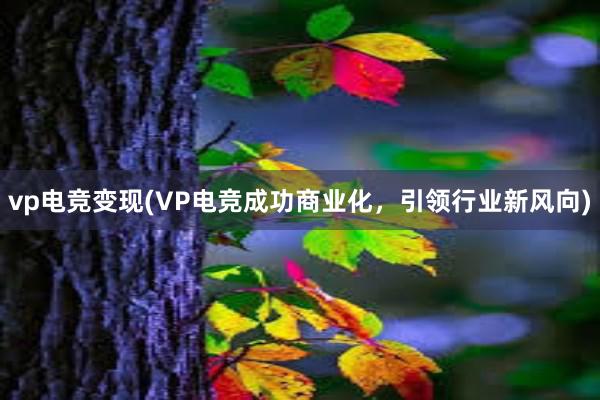 vp电竞变现(VP电竞成功商业化，引领行业新风向)