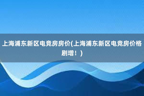 上海浦东新区电竞房房价(上海浦东新区电竞房价格剧增！)