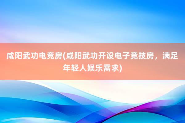 咸阳武功电竞房(咸阳武功开设电子竞技房，满足年轻人娱乐需求)