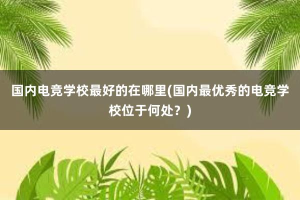 国内电竞学校最好的在哪里(国内最优秀的电竞学校位于何处？)