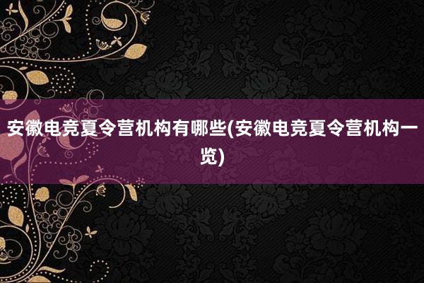 安徽电竞夏令营机构有哪些(安徽电竞夏令营机构一览)