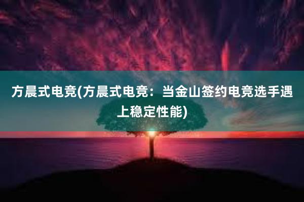 方晨式电竞(方晨式电竞：当金山签约电竞选手遇上稳定性能)