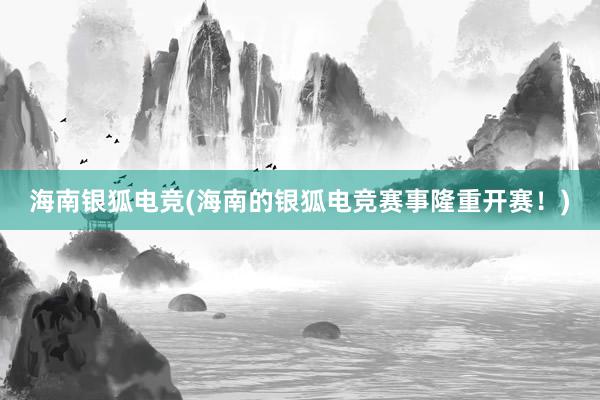 海南银狐电竞(海南的银狐电竞赛事隆重开赛！)