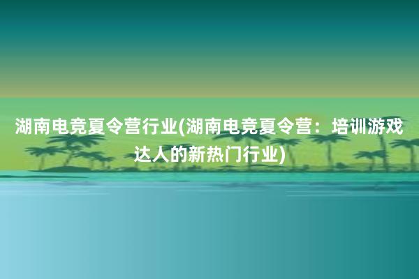 湖南电竞夏令营行业(湖南电竞夏令营：培训游戏达人的新热门行业)