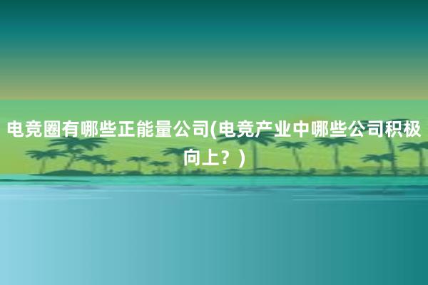 电竞圈有哪些正能量公司(电竞产业中哪些公司积极向上？)