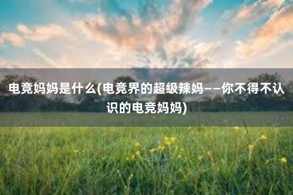 电竞妈妈是什么(电竞界的超级辣妈——你不得不认识的电竞妈妈)