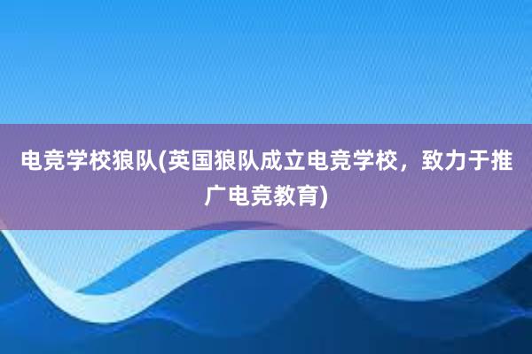 电竞学校狼队(英国狼队成立电竞学校，致力于推广电竞教育)