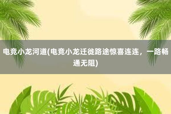 电竞小龙河道(电竞小龙迁徙路途惊喜连连，一路畅通无阻)