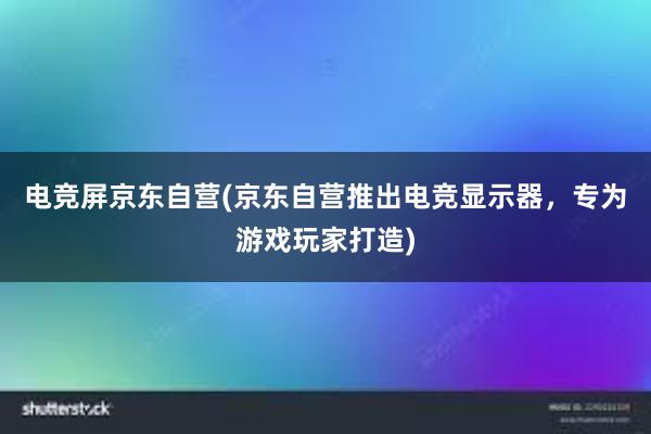 电竞屏京东自营(京东自营推出电竞显示器，专为游戏玩家打造)