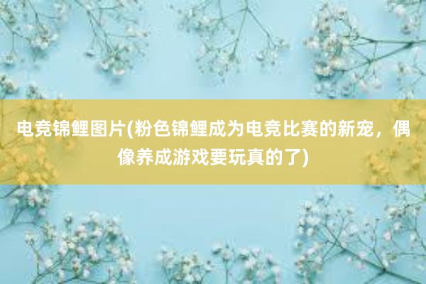 电竞锦鲤图片(粉色锦鲤成为电竞比赛的新宠，偶像养成游戏要玩真的了)