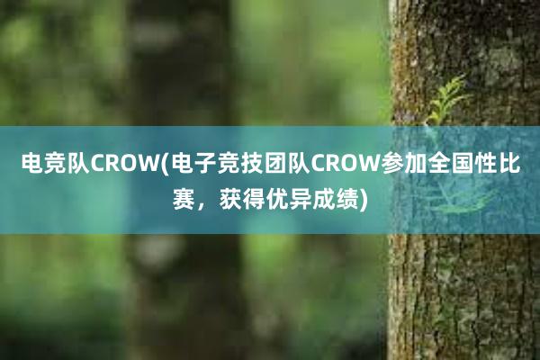 电竞队CROW(电子竞技团队CROW参加全国性比赛，获得优异成绩)