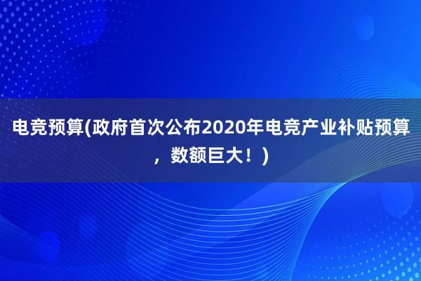 电竞预算(政府首次公布2020年电竞产业补贴预算，数额巨大！)