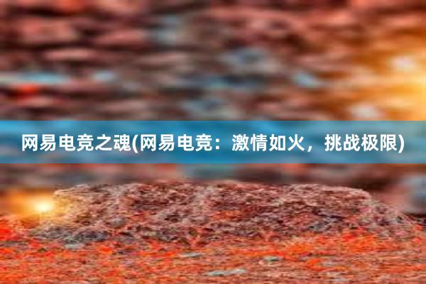 网易电竞之魂(网易电竞：激情如火，挑战极限)