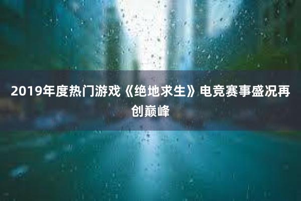 2019年度热门游戏《绝地求生》电竞赛事盛况再创巅峰