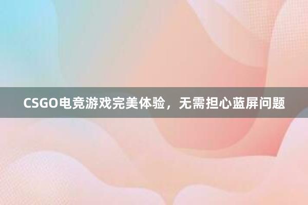 CSGO电竞游戏完美体验，无需担心蓝屏问题