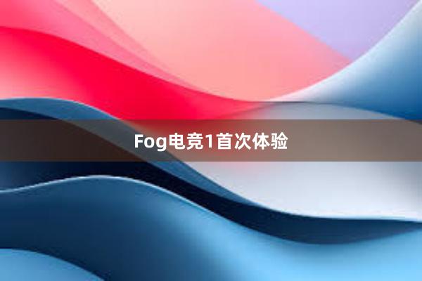 Fog电竞1首次体验