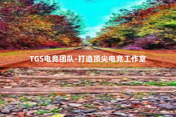 TGS电竞团队-打造顶尖电竞工作室