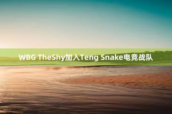 WBG TheShy加入Teng Snake电竞战队