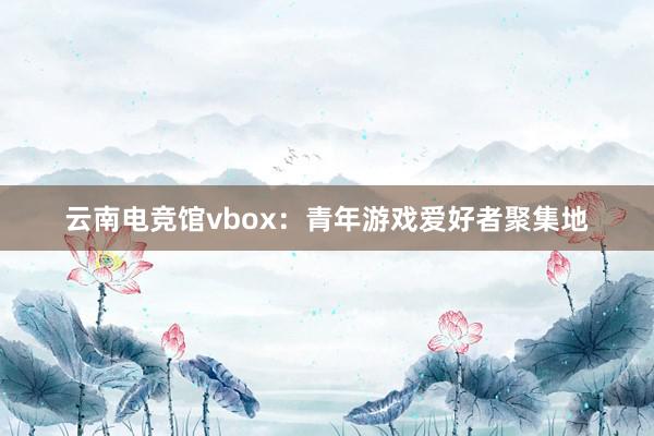 云南电竞馆vbox：青年游戏爱好者聚集地