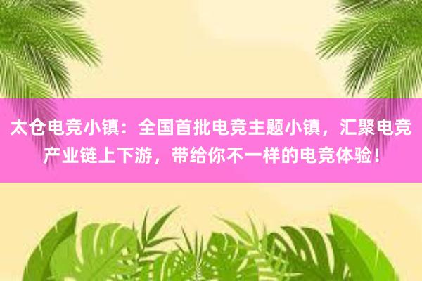 太仓电竞小镇：全国首批电竞主题小镇，汇聚电竞产业链上下游，带给你不一样的电竞体验！