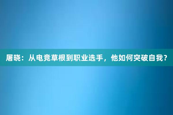 屠晓：从电竞草根到职业选手，他如何突破自我？