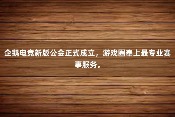 企鹅电竞新版公会正式成立，游戏圈奉上最专业赛事服务。