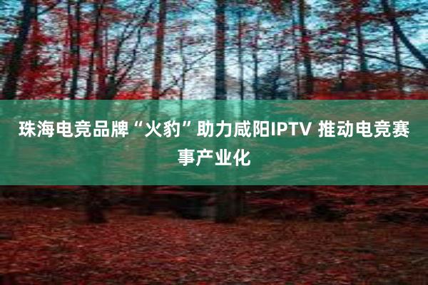 珠海电竞品牌“火豹”助力咸阳IPTV 推动电竞赛事产业化