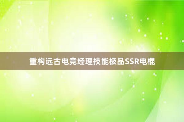 重构远古电竞经理技能极品SSR电棍