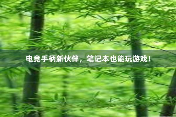 电竞手柄新伙伴，笔记本也能玩游戏！